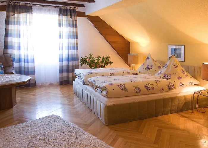 Hotel Restaurant Sommer 3*